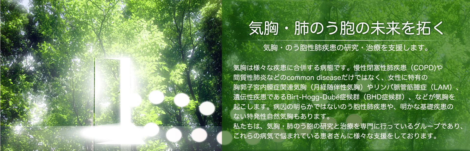 気胸は様々な疾患に合併する病態です。慢性閉塞性肺疾患（COPD)や間質性肺炎などのcommon diseaseだけではなく、女性に特有の胸郭子宮内膜症関連気胸（月経随伴性気胸）やリンパ脈管筋腫症（LAM）、遺伝性疾患であるBirt-Hogg-Dube症候群（BHD症候群）、などが気胸を起こします。病因の明らかではないのう胞性肺疾患や、明かな基礎疾患のない特発性自然気胸もあります。私たちは、気胸・肺のう胞の研究と治療を専門に行っているグループであり、これらの病気で悩まれている患者さんに様々な支援をしております